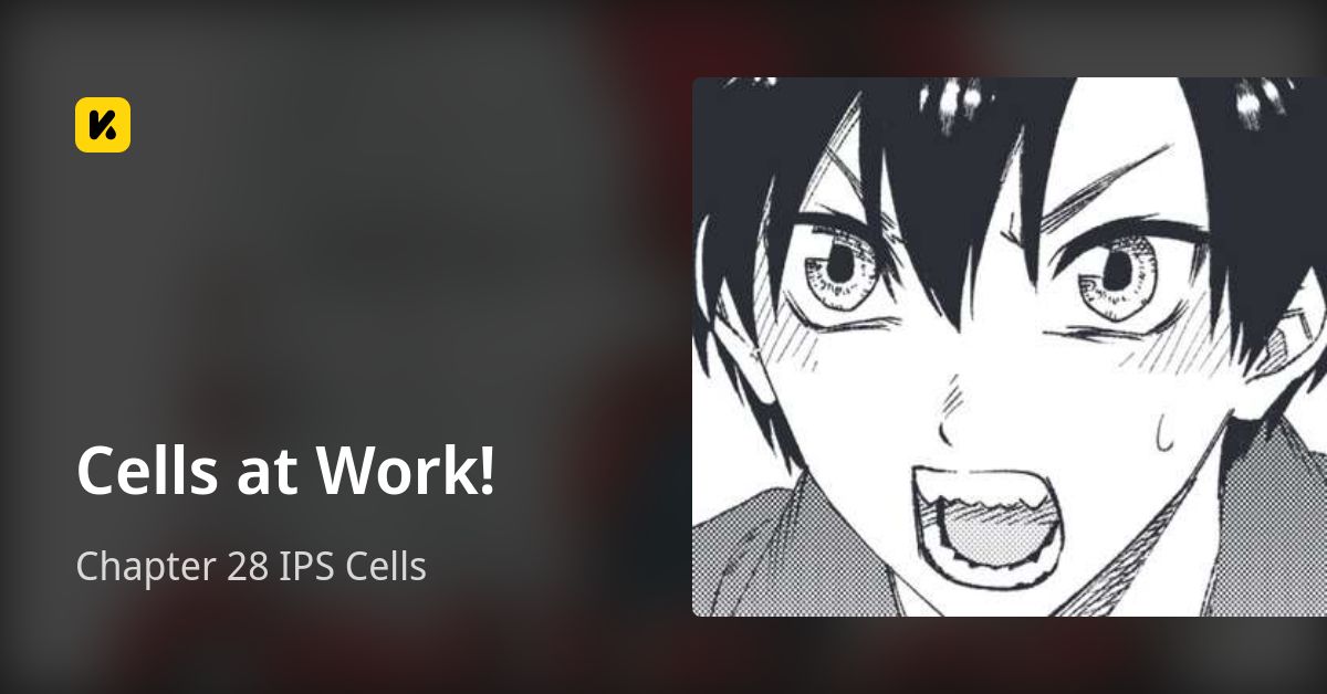 Chapter 28 IPS Cells • Cells at Work!